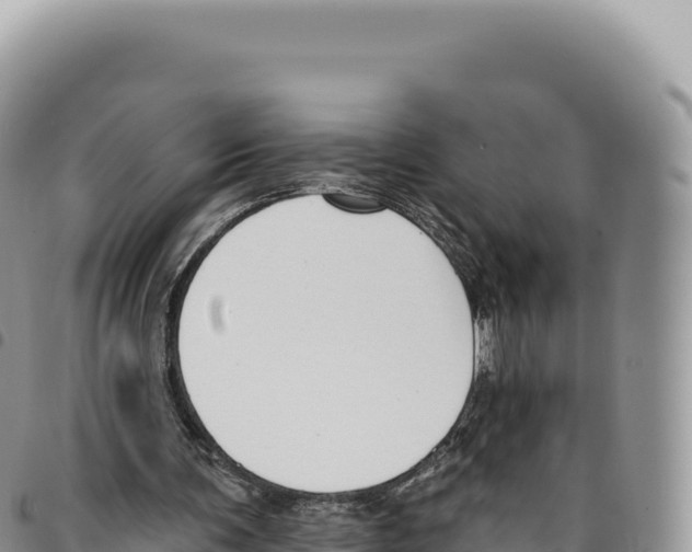 X0000093360291200711081520