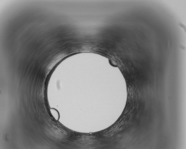 X0000093360292200711081520