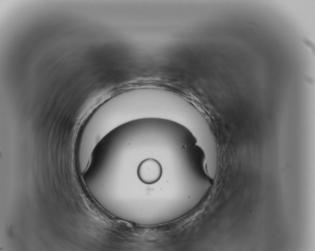 X0000093360293200711081520