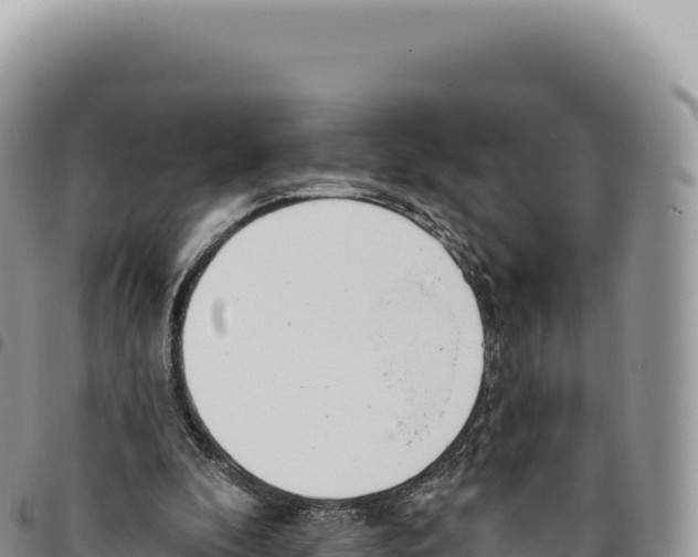X0000093360296200711081520