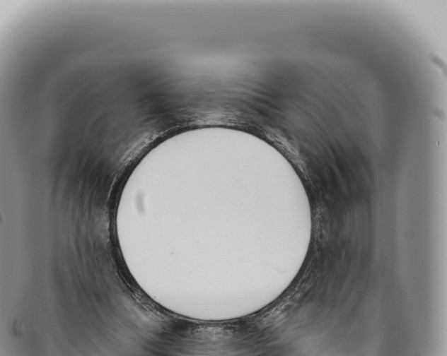 X0000093360298200711081520