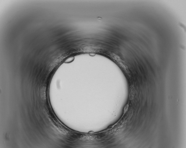 X0000093360299200711081520