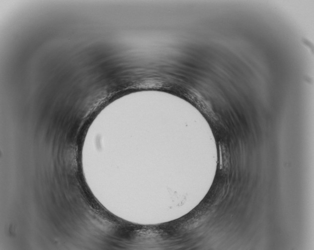 X0000093360300200711081520