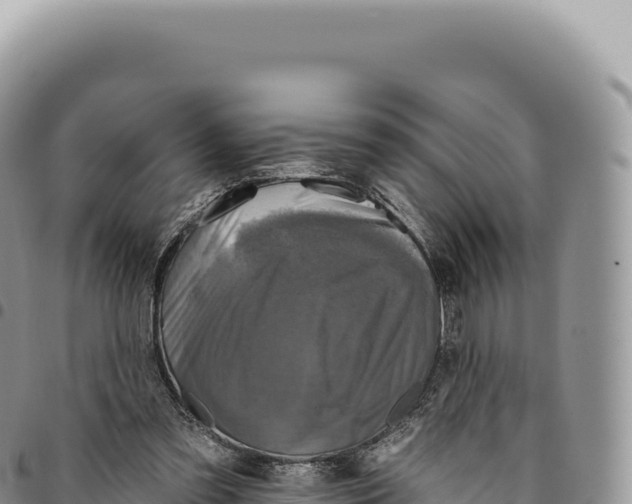 X0000093360301200711081520