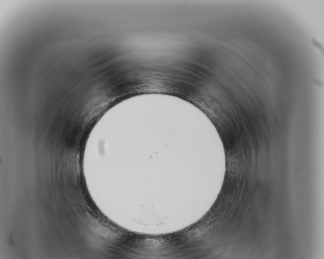 X0000093360302200711081520