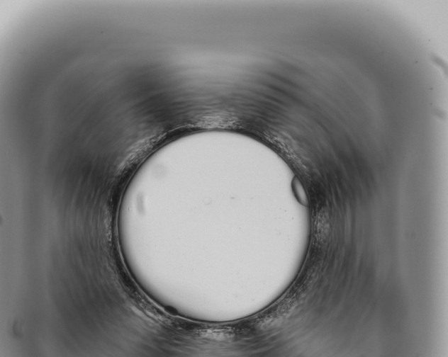 X0000093360303200711081520