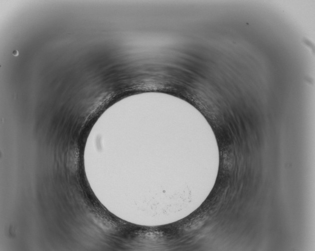 X0000093360304200711081520