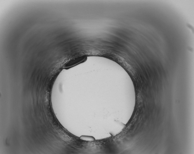 X0000093360305200711081520