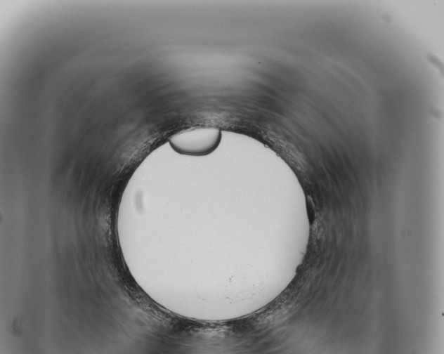 X0000093360306200711081520