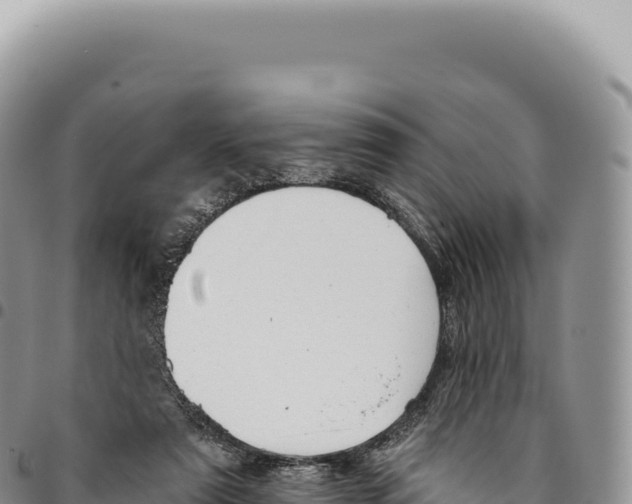 X0000093360307200711081520