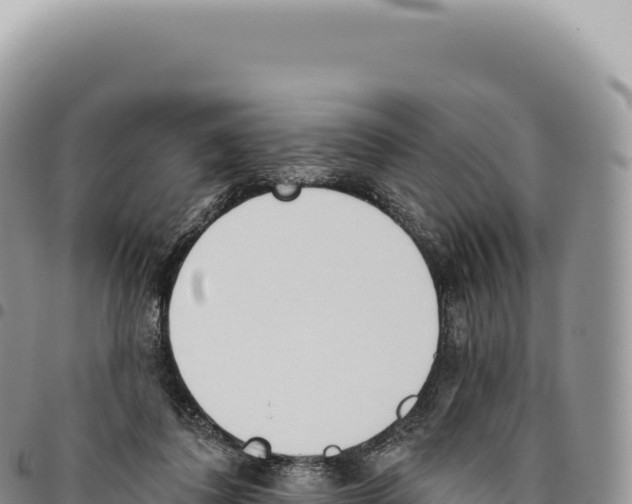 X0000093360308200711081520