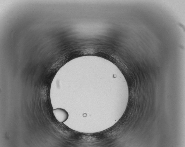 X0000093360311200711081520