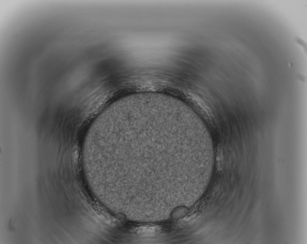 X0000093360314200711081520