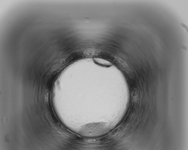 X0000093360315200711081520