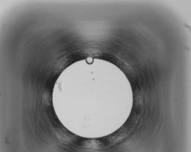 X0000093360316200711081520