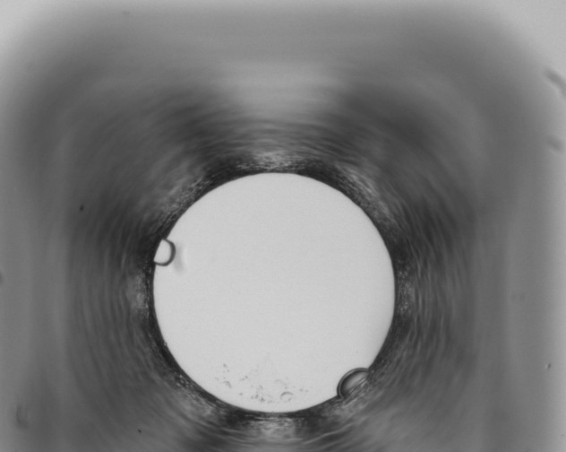 X0000093360317200711081520