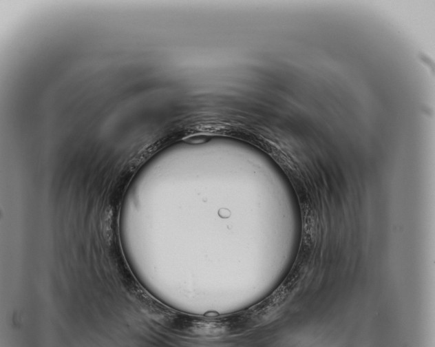 X0000093360319200711081520