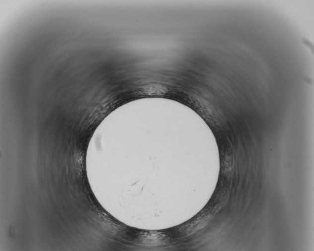X0000093360321200711081520