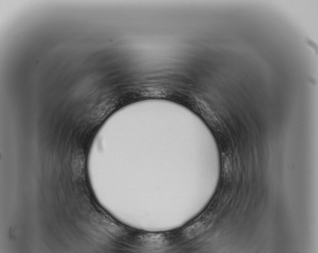 X0000093360322200711081520