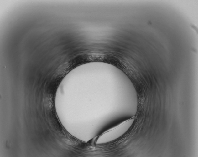 X0000093360323200711081520