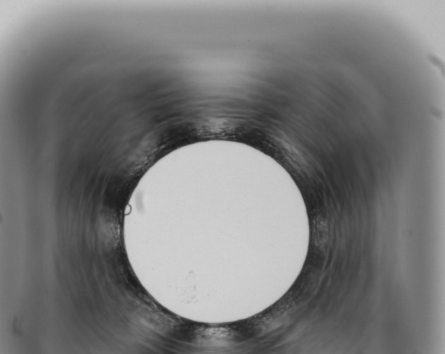X0000093360324200711081520