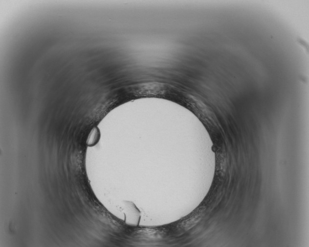 X0000093360326200711081520