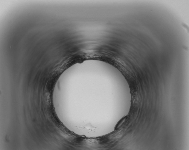 X0000093360327200711081520