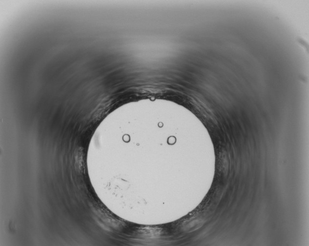 X0000093360328200711081520
