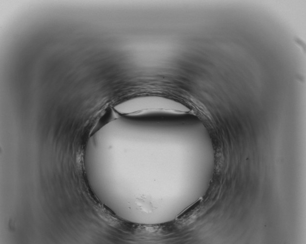 X0000093360329200711081520