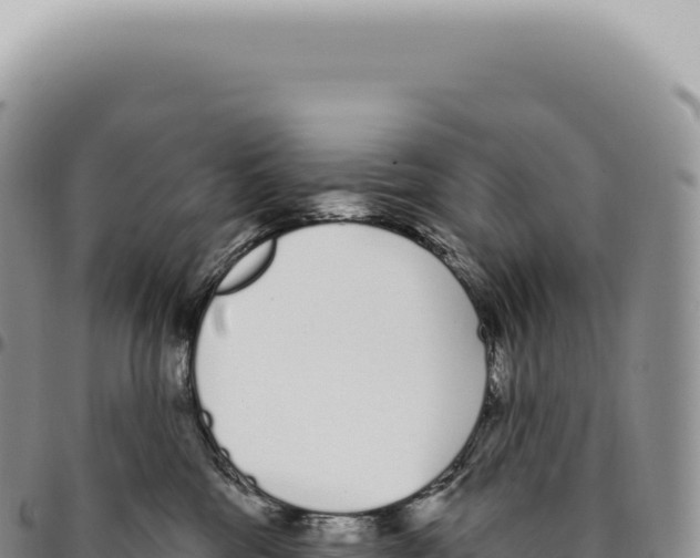 X0000093360330200711081520
