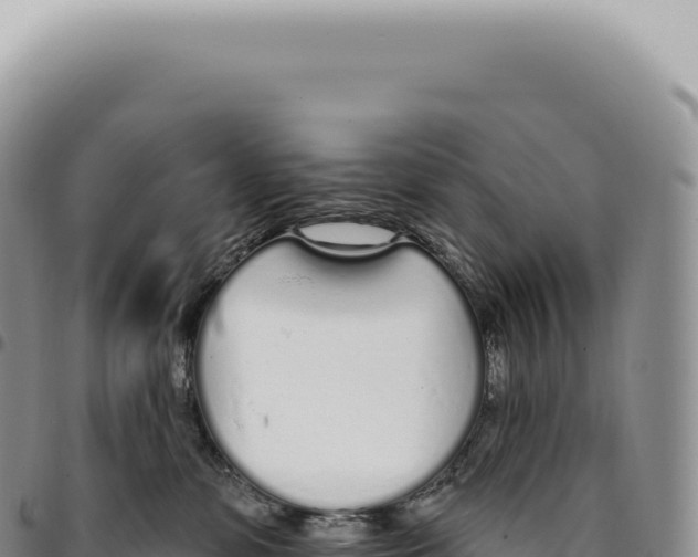 X0000093360331200711081520