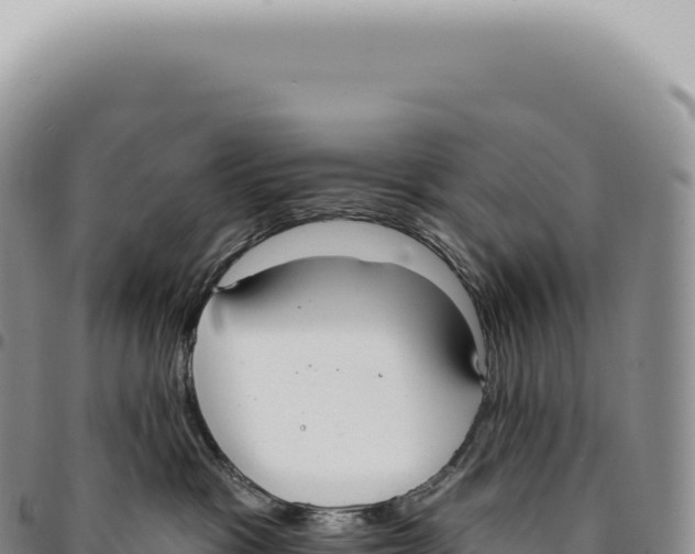 X0000093360333200711081520