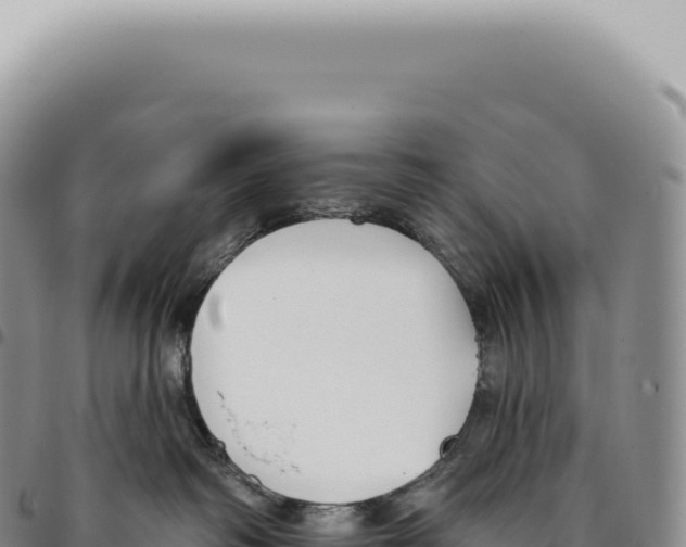 X0000093360334200711081520