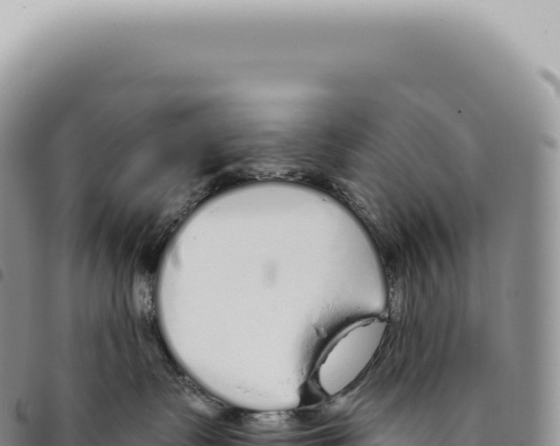 X0000093360335200711081520