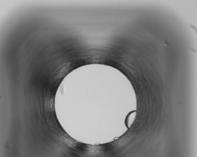 X0000093360336200711081520
