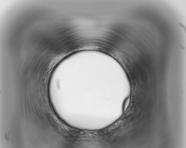 X0000093360337200711081519