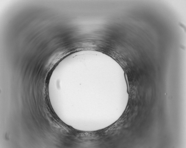X0000093360338200711081519
