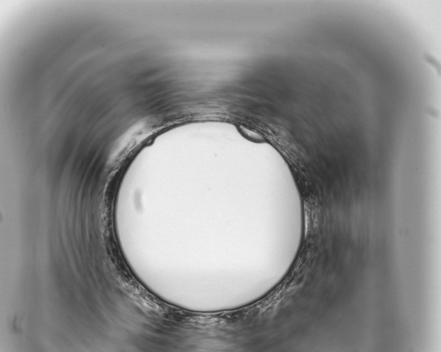 X0000093360339200711081519