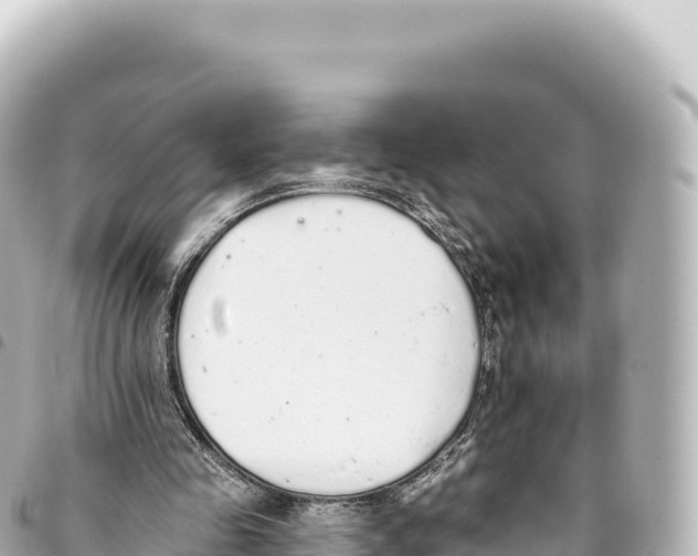 X0000093360341200711081519