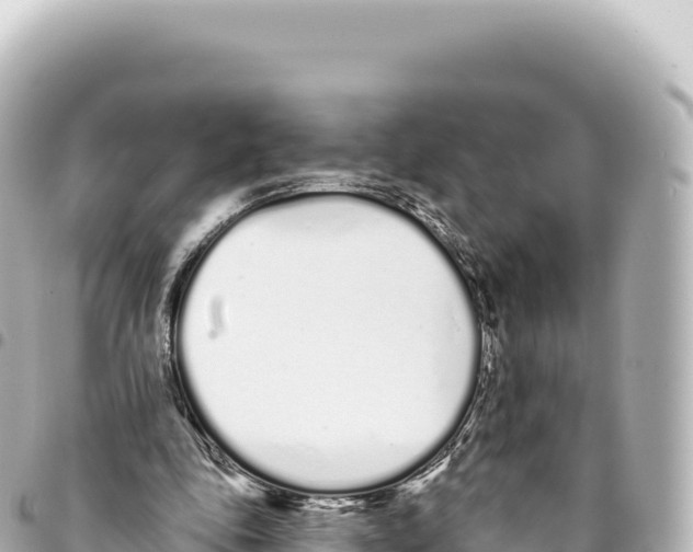 X0000093360343200711081519