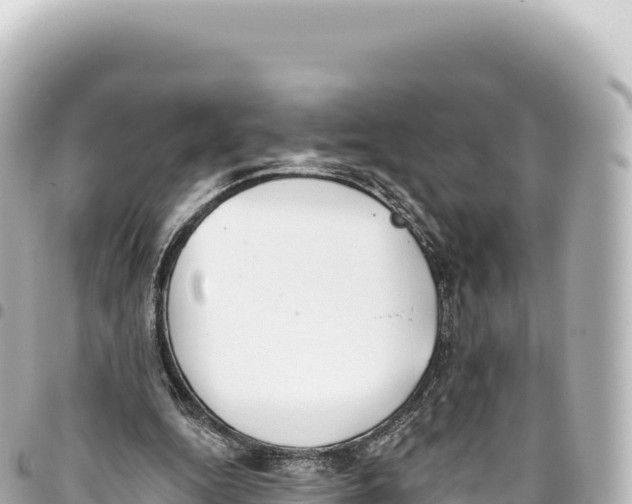 X0000093360344200711081519