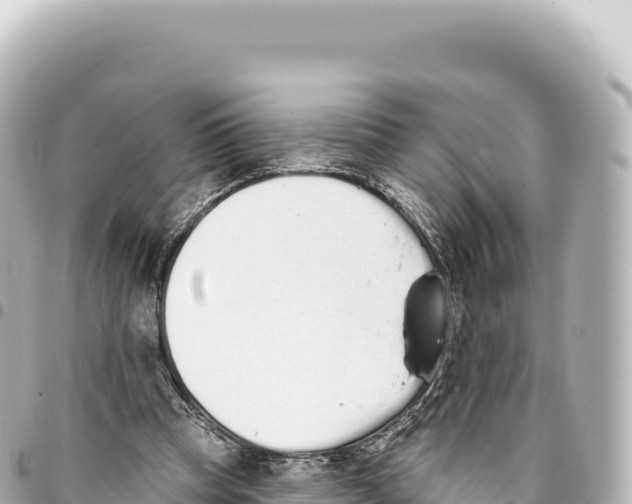 X0000093360345200711081519