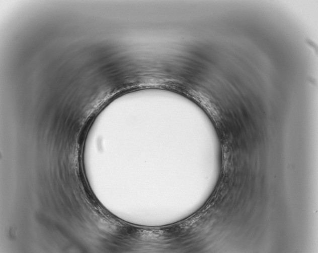 X0000093360346200711081519