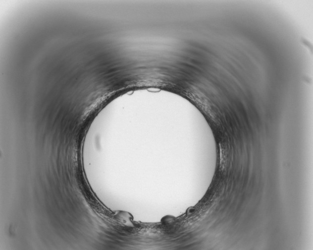 X0000093360348200711081519