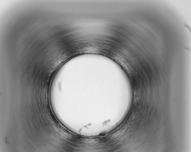 X0000093360349200711081519