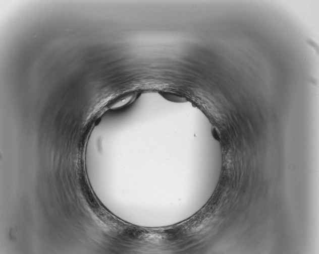 X0000093360352200711081519