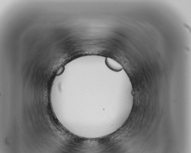 X0000093360354200711081519