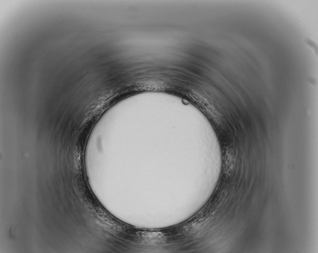 X0000093360355200711081519