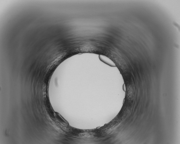 X0000093360356200711081519