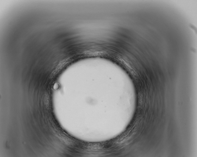 X0000093360357200711081519